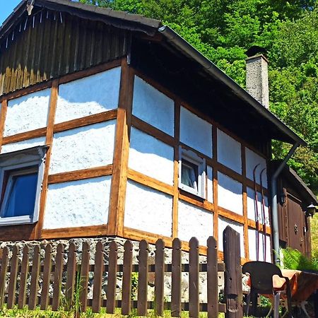 Arode Huette Harzilein - Romantic Tiny House On The Edge Of The Forest Zorge المظهر الخارجي الصورة