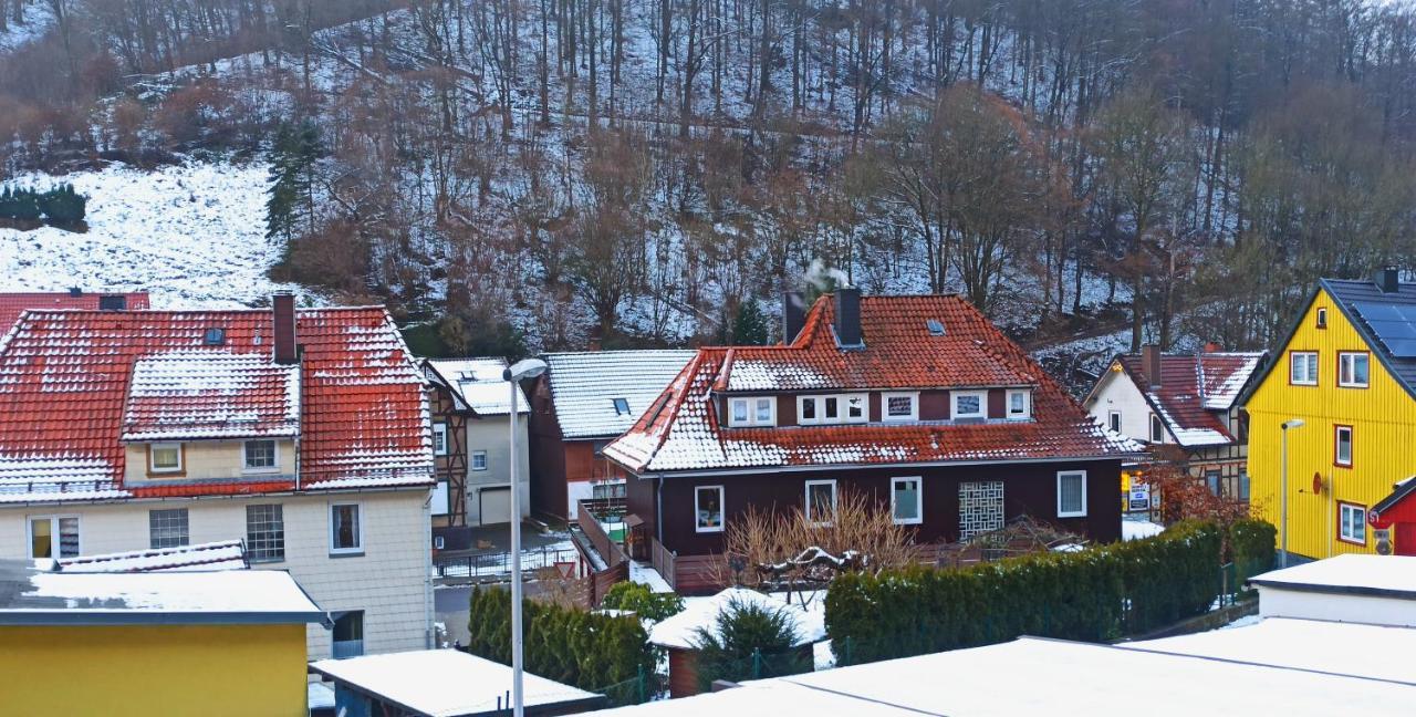 Arode Huette Harzilein - Romantic Tiny House On The Edge Of The Forest Zorge المظهر الخارجي الصورة