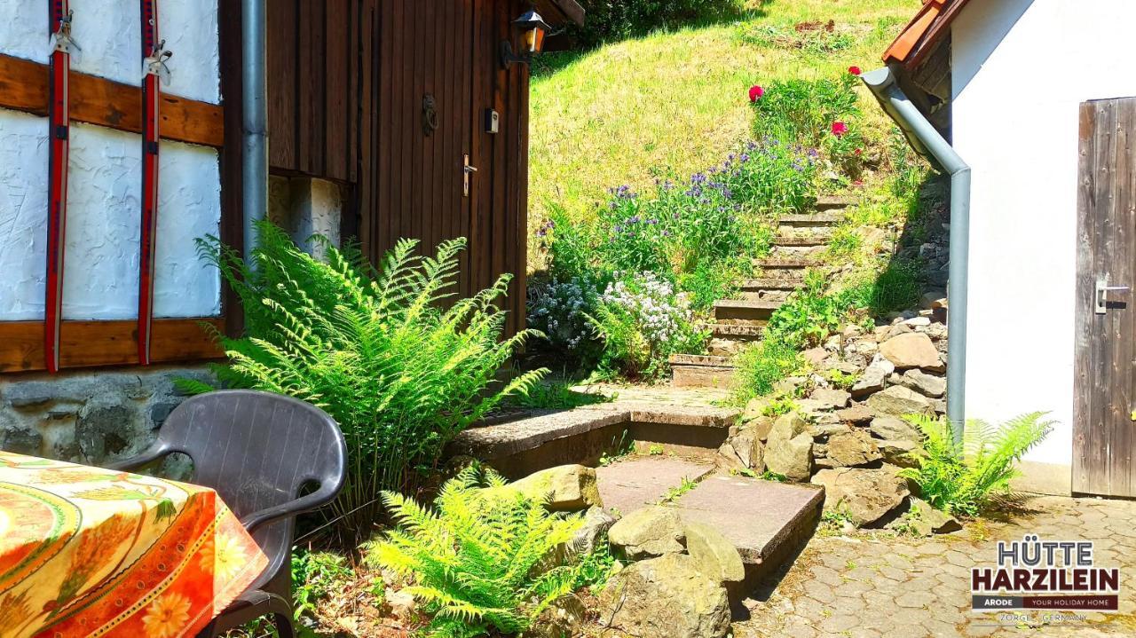 Arode Huette Harzilein - Romantic Tiny House On The Edge Of The Forest Zorge المظهر الخارجي الصورة