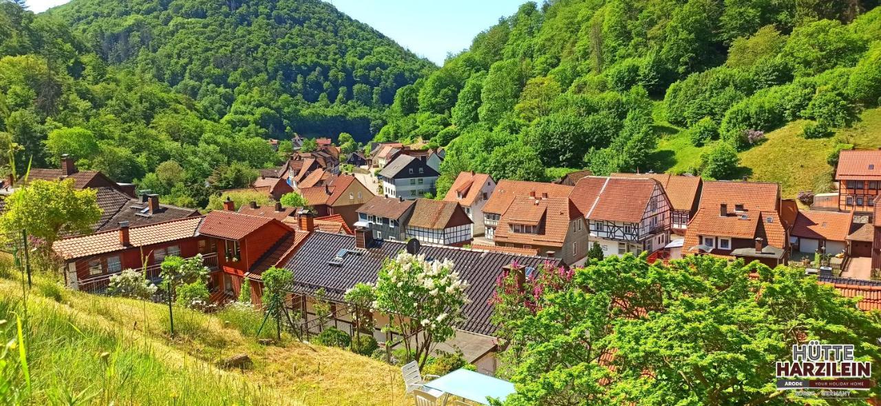 Arode Huette Harzilein - Romantic Tiny House On The Edge Of The Forest Zorge المظهر الخارجي الصورة
