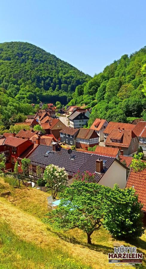 Arode Huette Harzilein - Romantic Tiny House On The Edge Of The Forest Zorge المظهر الخارجي الصورة